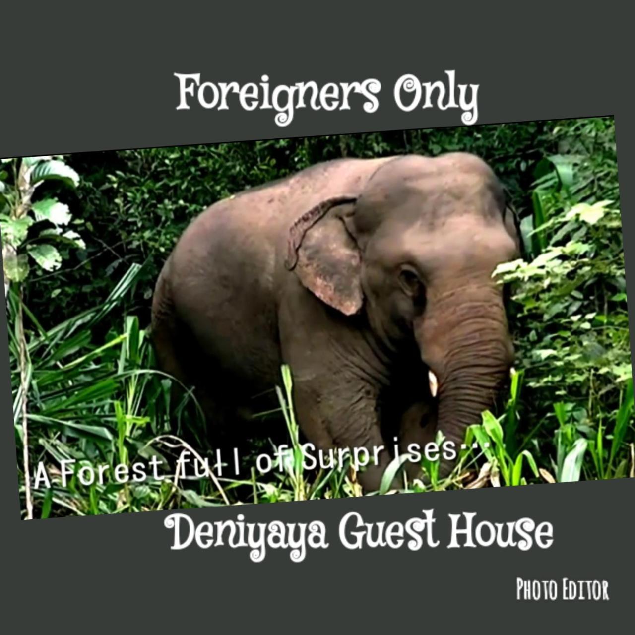 Deniyaya Guest House المظهر الخارجي الصورة