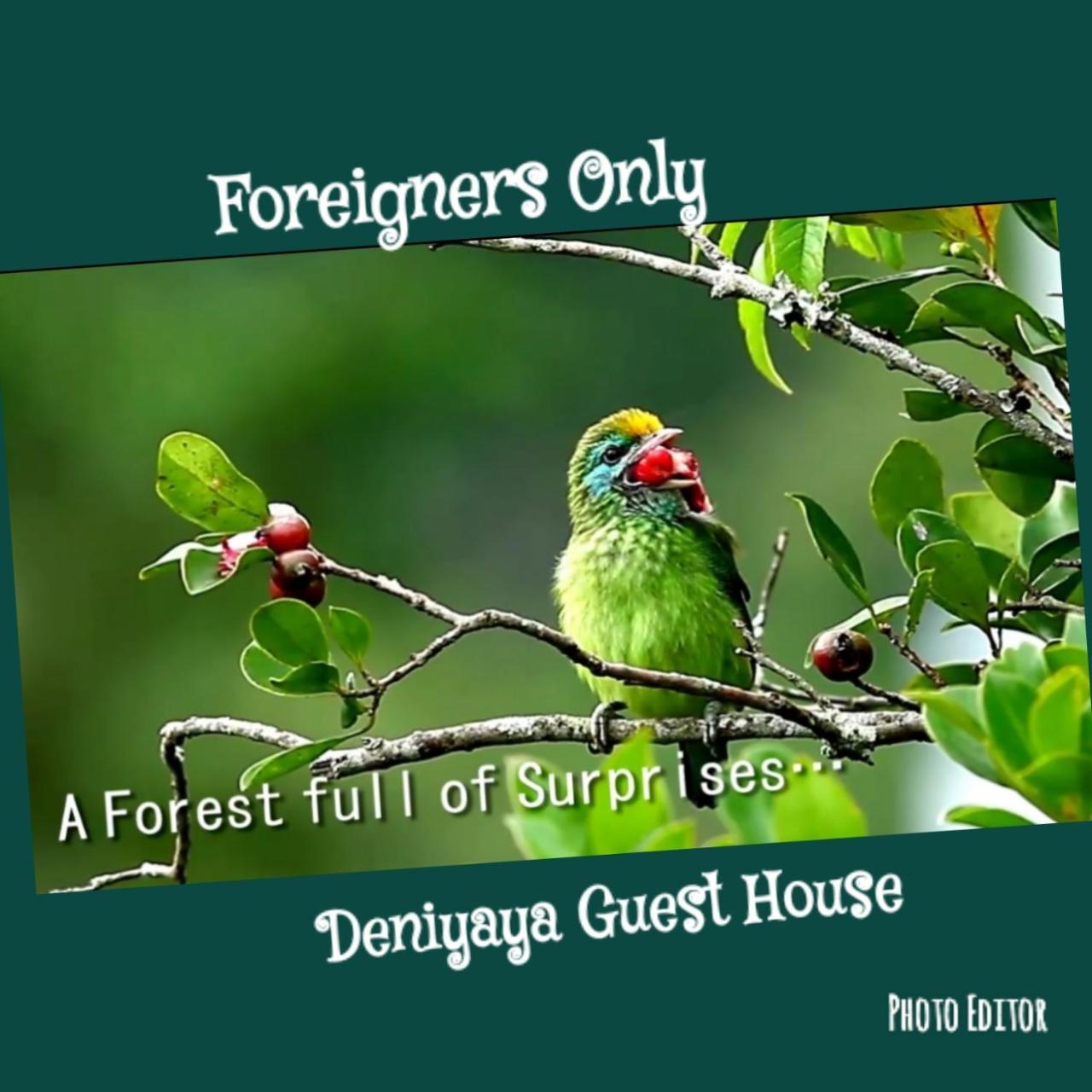 Deniyaya Guest House المظهر الخارجي الصورة