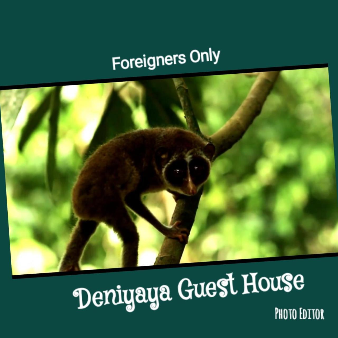 Deniyaya Guest House المظهر الخارجي الصورة